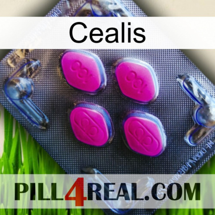 Cealis 02
